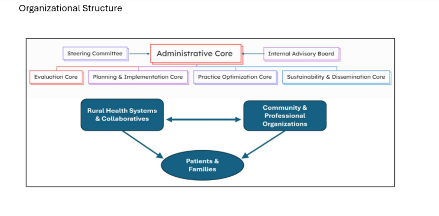Image of an org chart has four rows. The first row has steering committee, administrative core and international advisory board at the top. The next level has evaluation, core, planning and implementation, core, practice, optimization core, sustainability, and dissemination core. The next row has rural health systems and collaboratives, community and professional organization.
The bottom row has patients and families